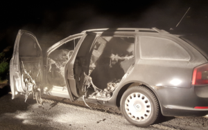Fahrzeugbrand_sinz_2015004